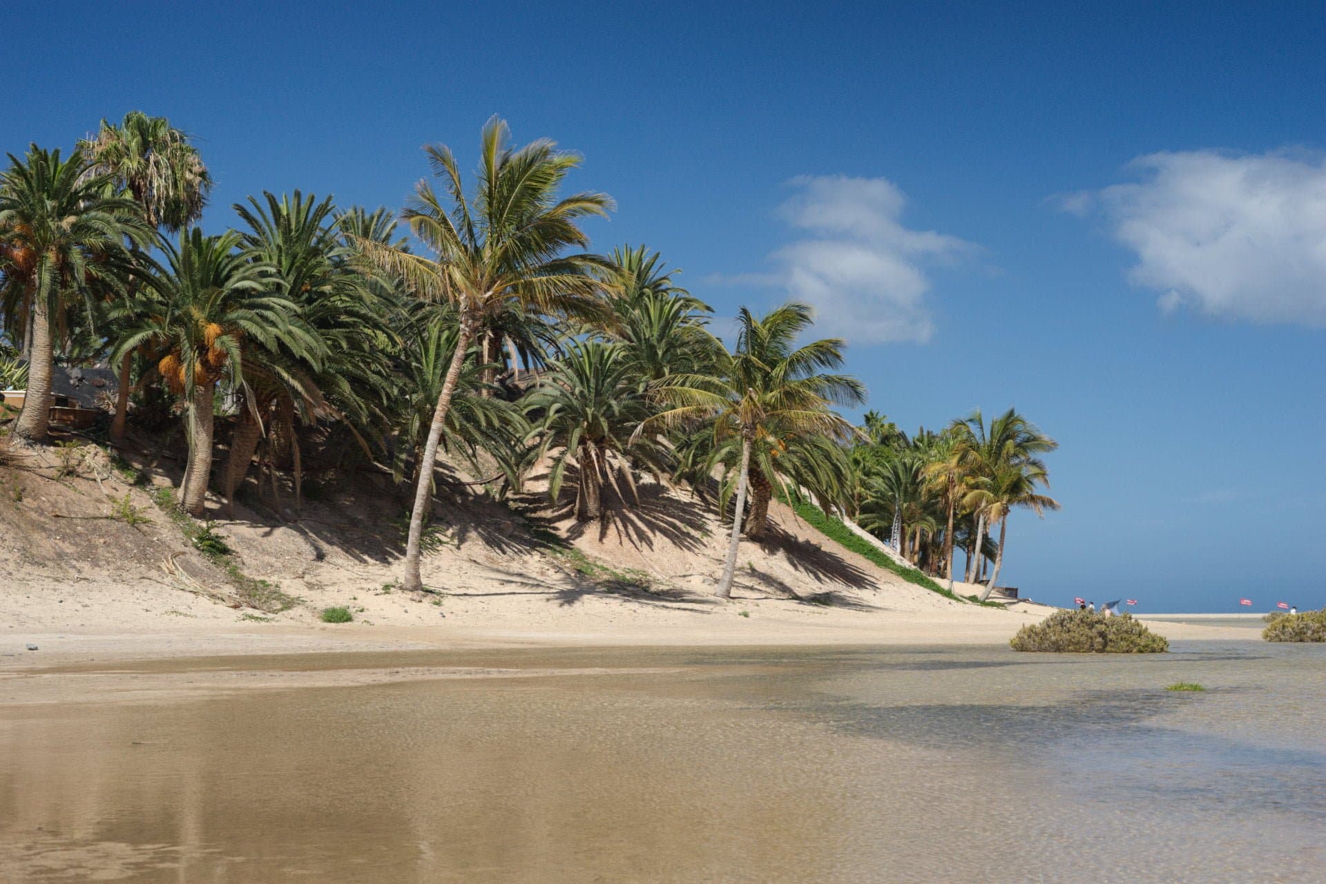 Beach Hopping and Sunbathing - Endless Shores of Fuerteventura